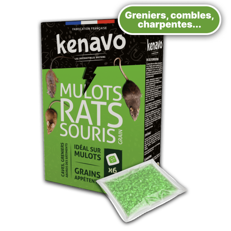 Produits Rats Produits anti rats pour particuliers - Kenavo