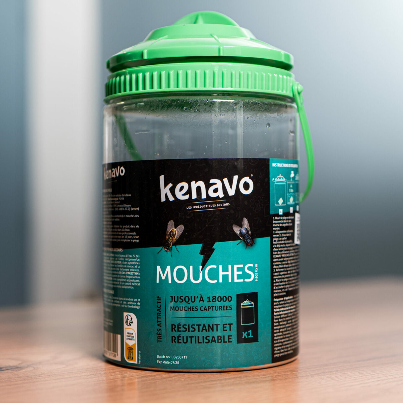 Fabriquer un piège à mouches efficace : astuces et méthodes