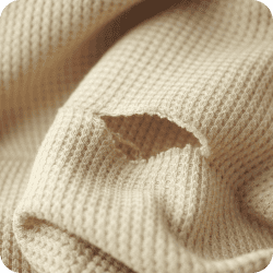 Trou dans un pull, mite vestimentaire