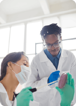 Deux scientifiques en blouse blanche travaillant dans un laboratoire