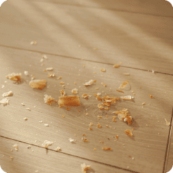 Miettes de nourriture sur un plancher en bois attirant les cafards.