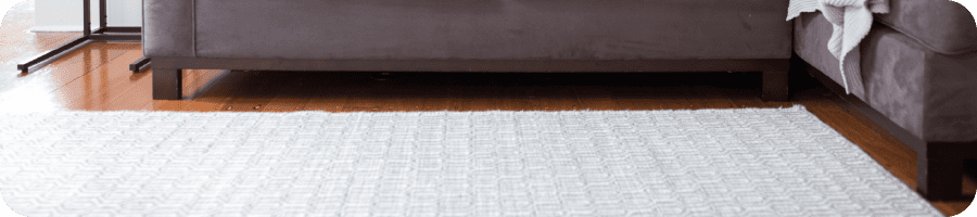 Intérieur d'une maison avec un canapé et un tapis, montrant les types de matières dont se nourrissent les larves d'anthrènes.