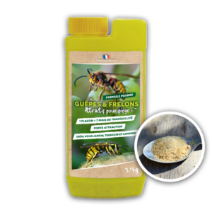 attractif piège guêpes frelons