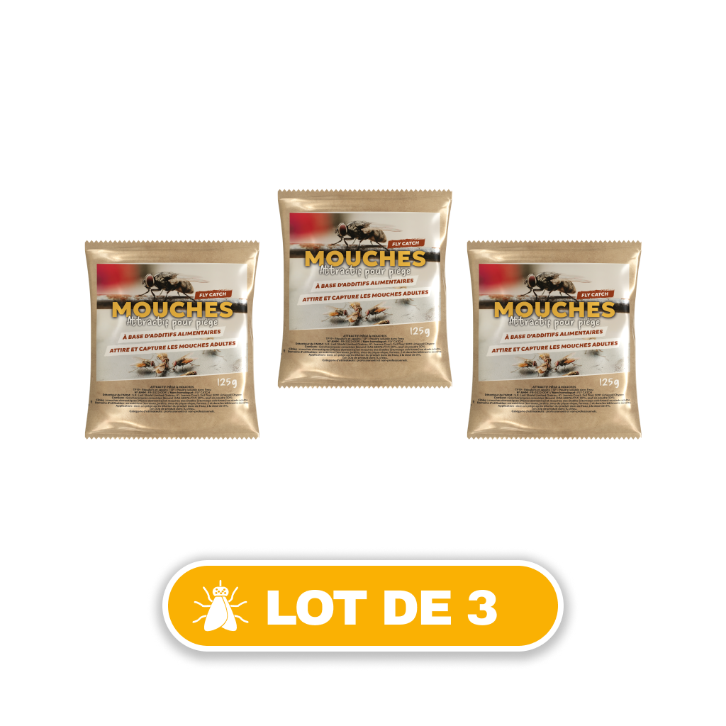 Attractif mouches pour piège à mouches V2 (1)